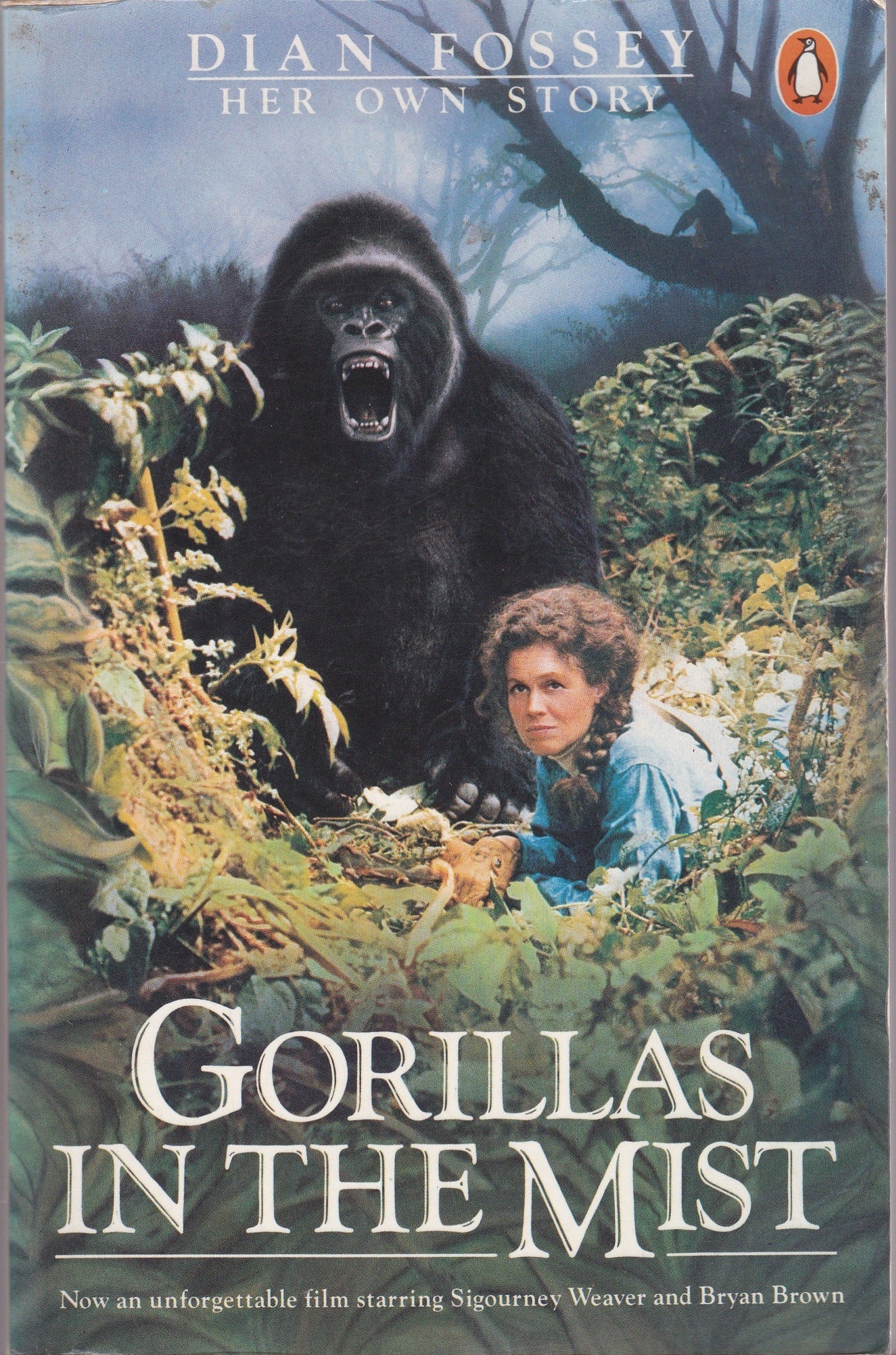 Gorillas in the Mist