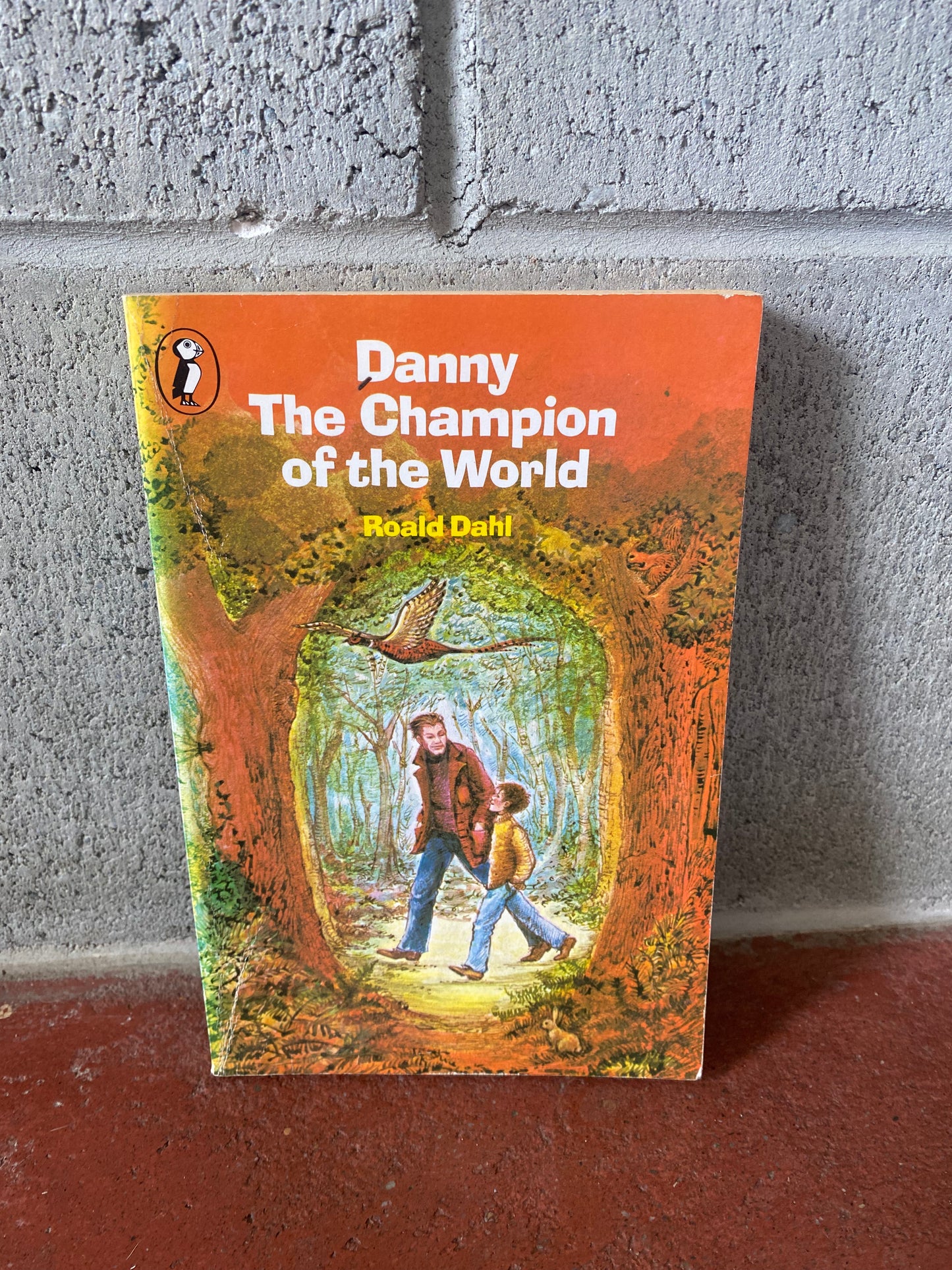 Danny The Champion of the World