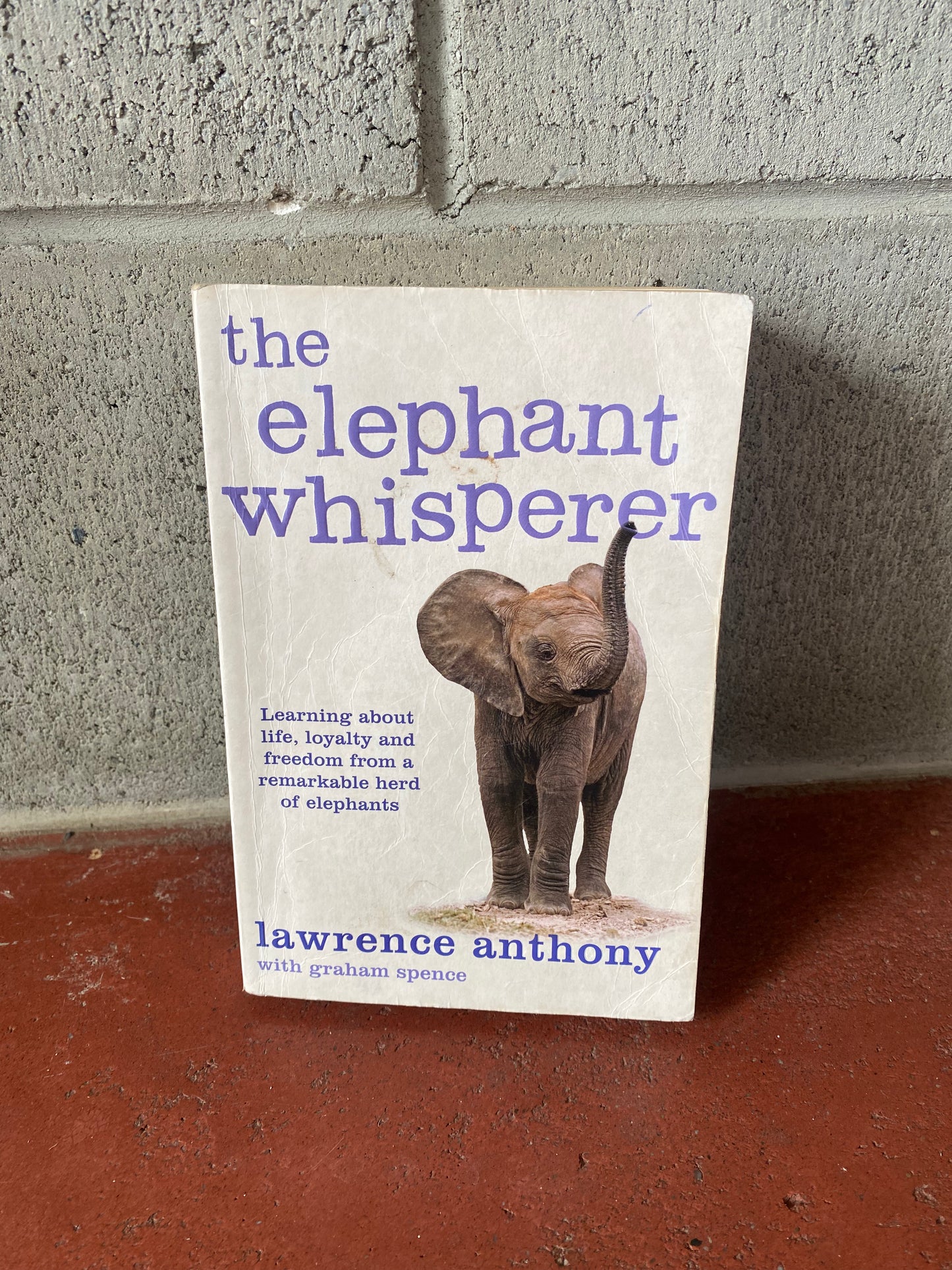 The Elephant Whisperer