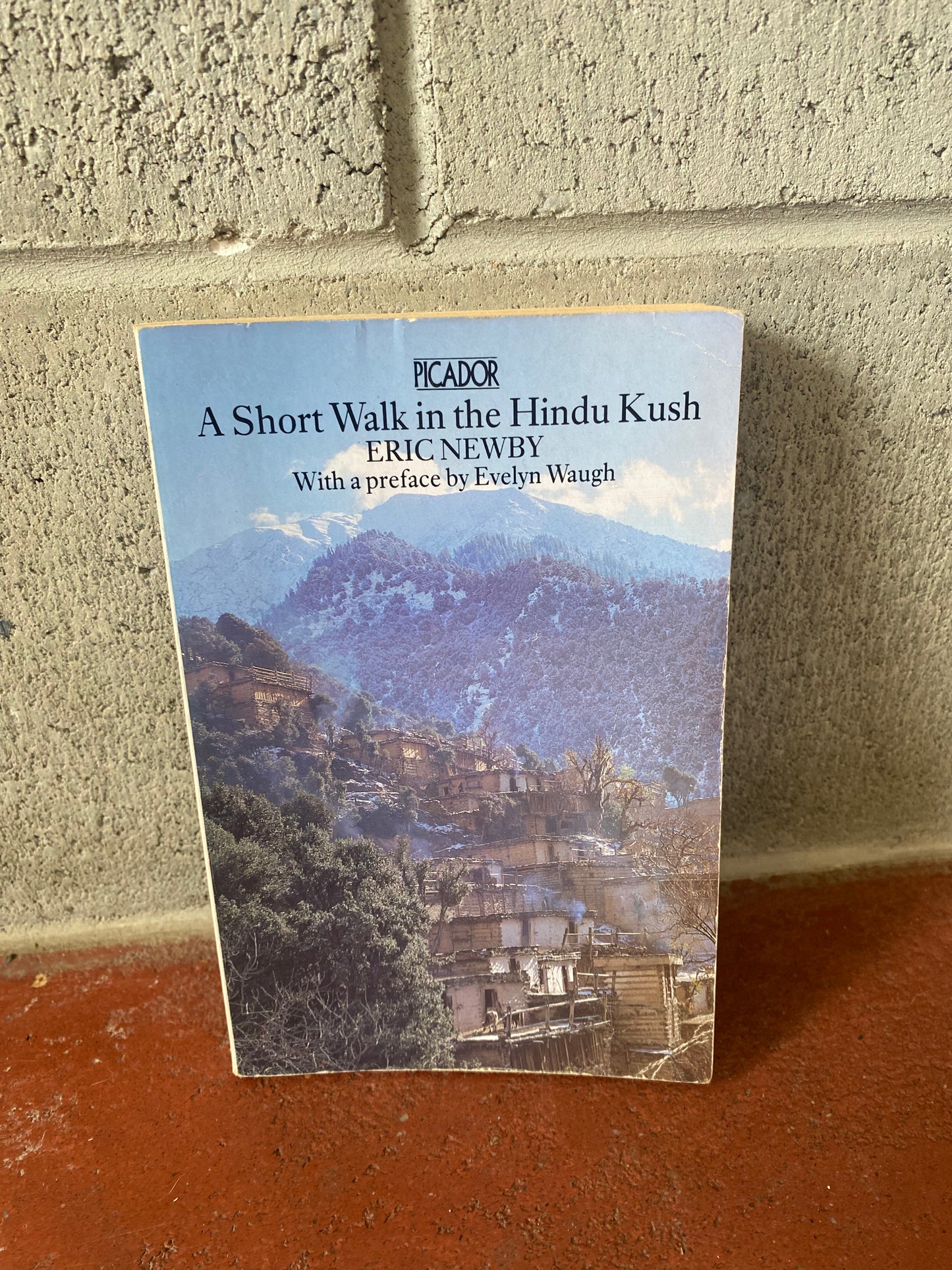 A Short Walk in the Hindu Kush