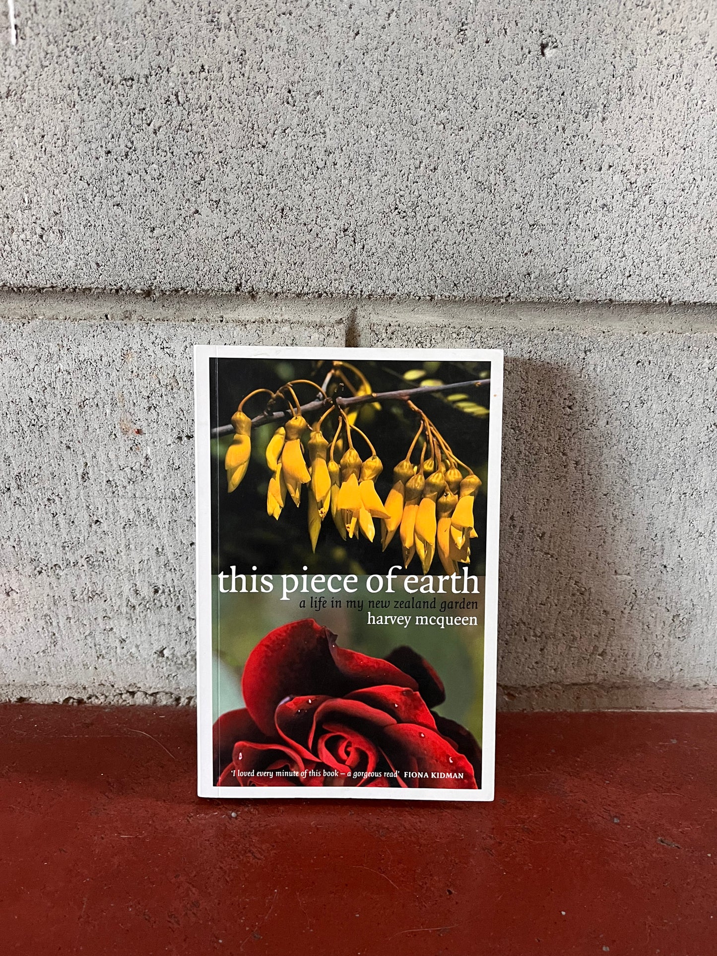 This Piece of Earth - A life in my New Zealand garden