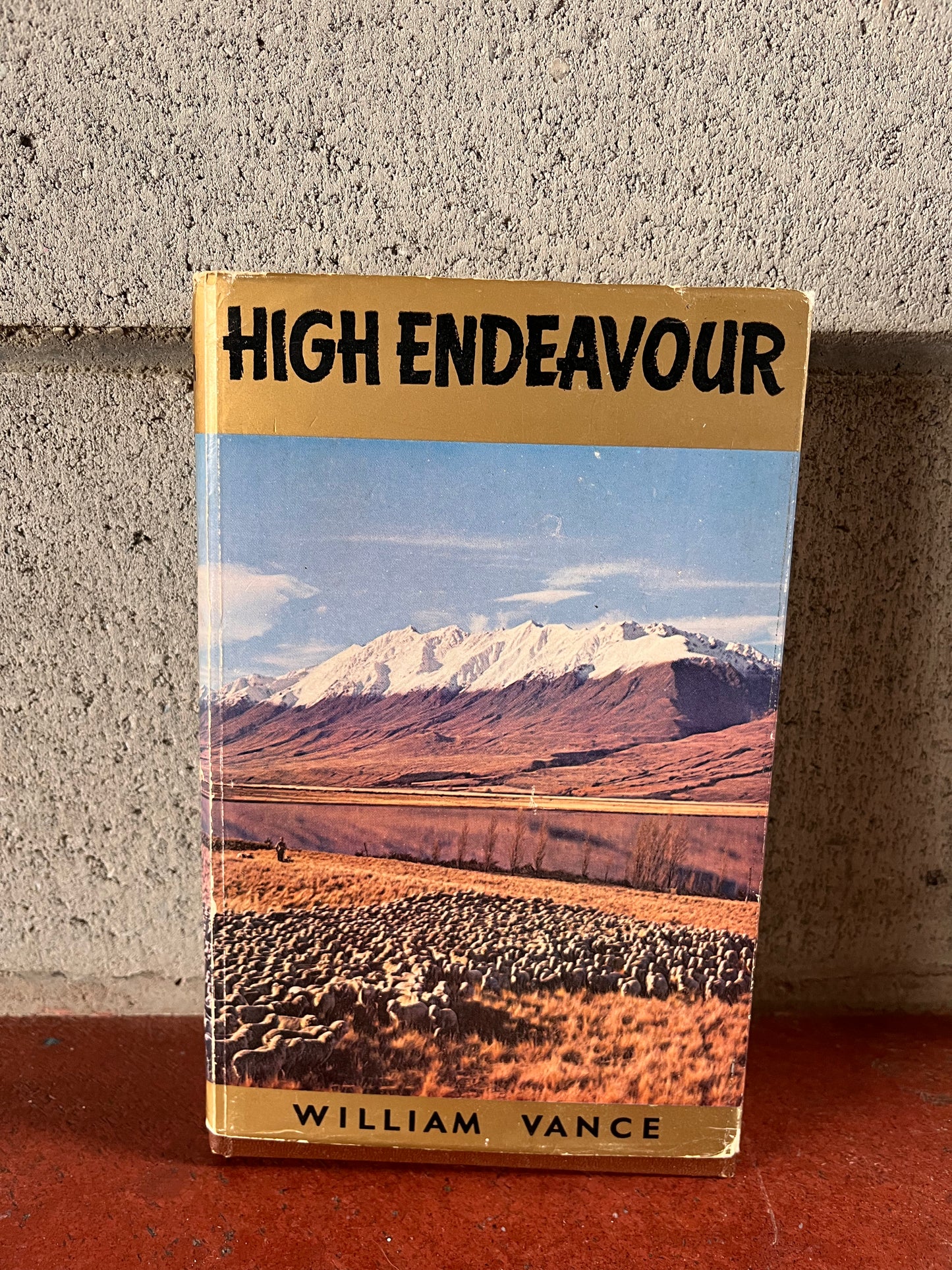 High Endeavour - Story of the Mackenzie Country