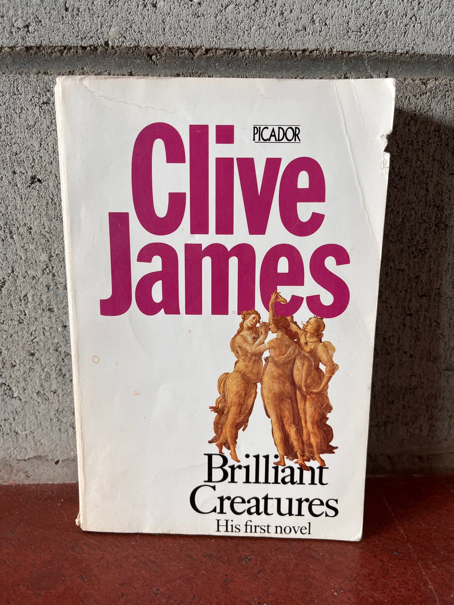 Brilliant Creatures
