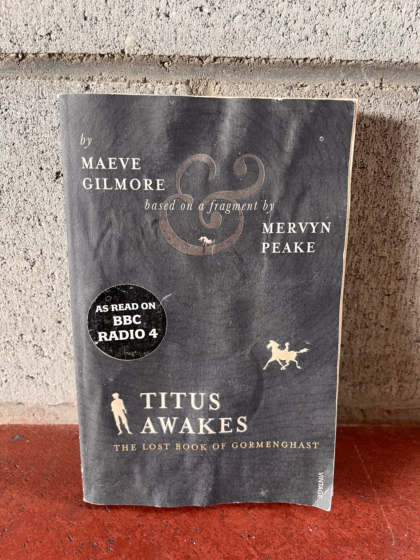 Titus Awakes - The Lost Book of Gormenghast