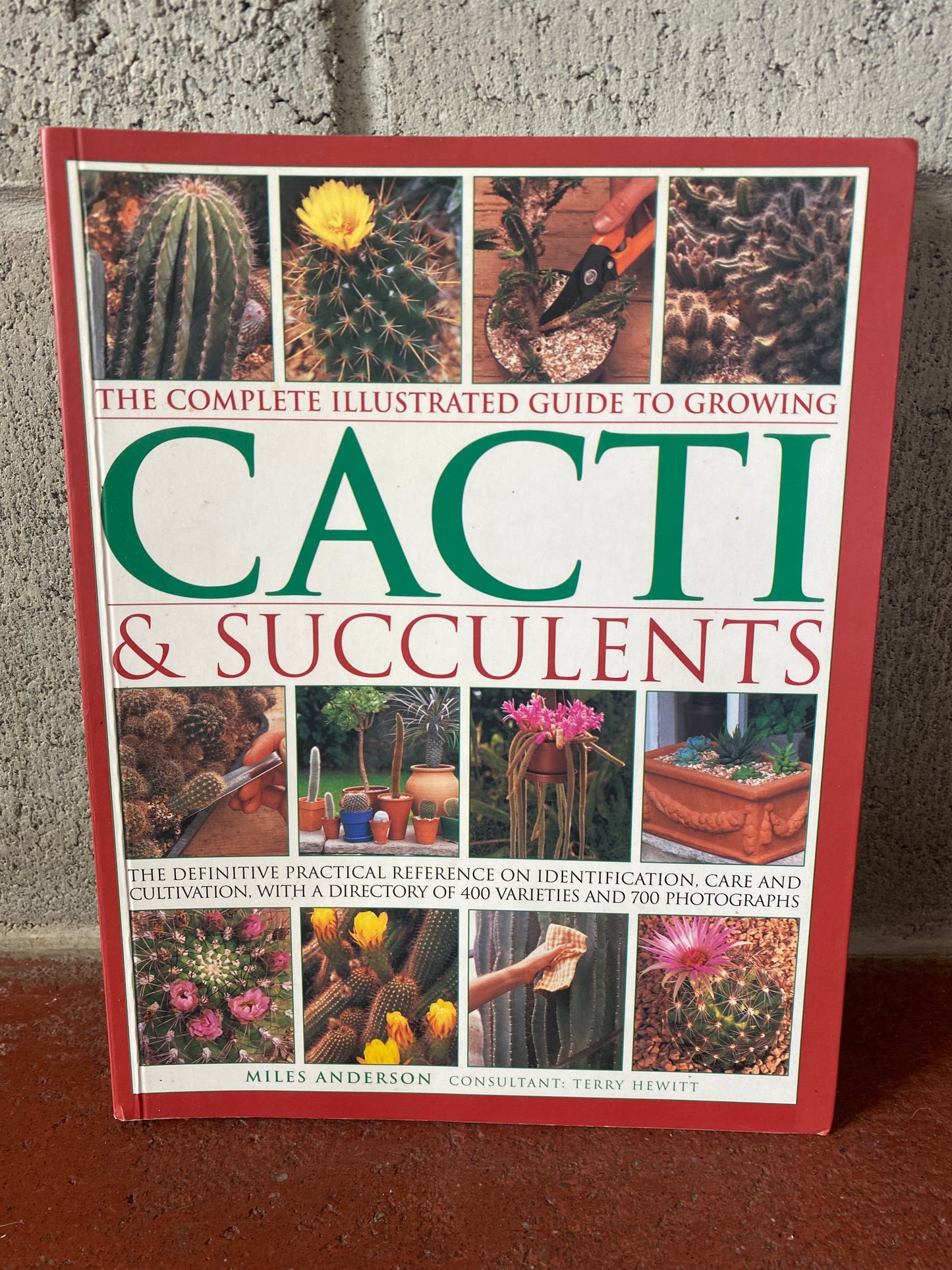 The Complete and Illustrated Guide to Growing Cacti & Succulents