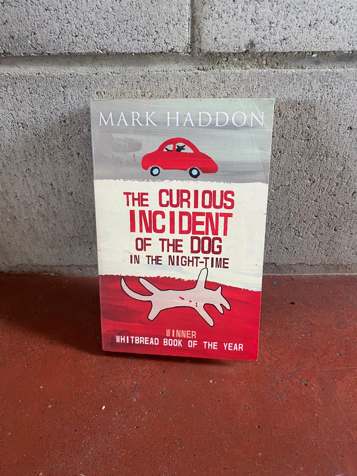 The Curious Incident of the Dog in the Night - Time