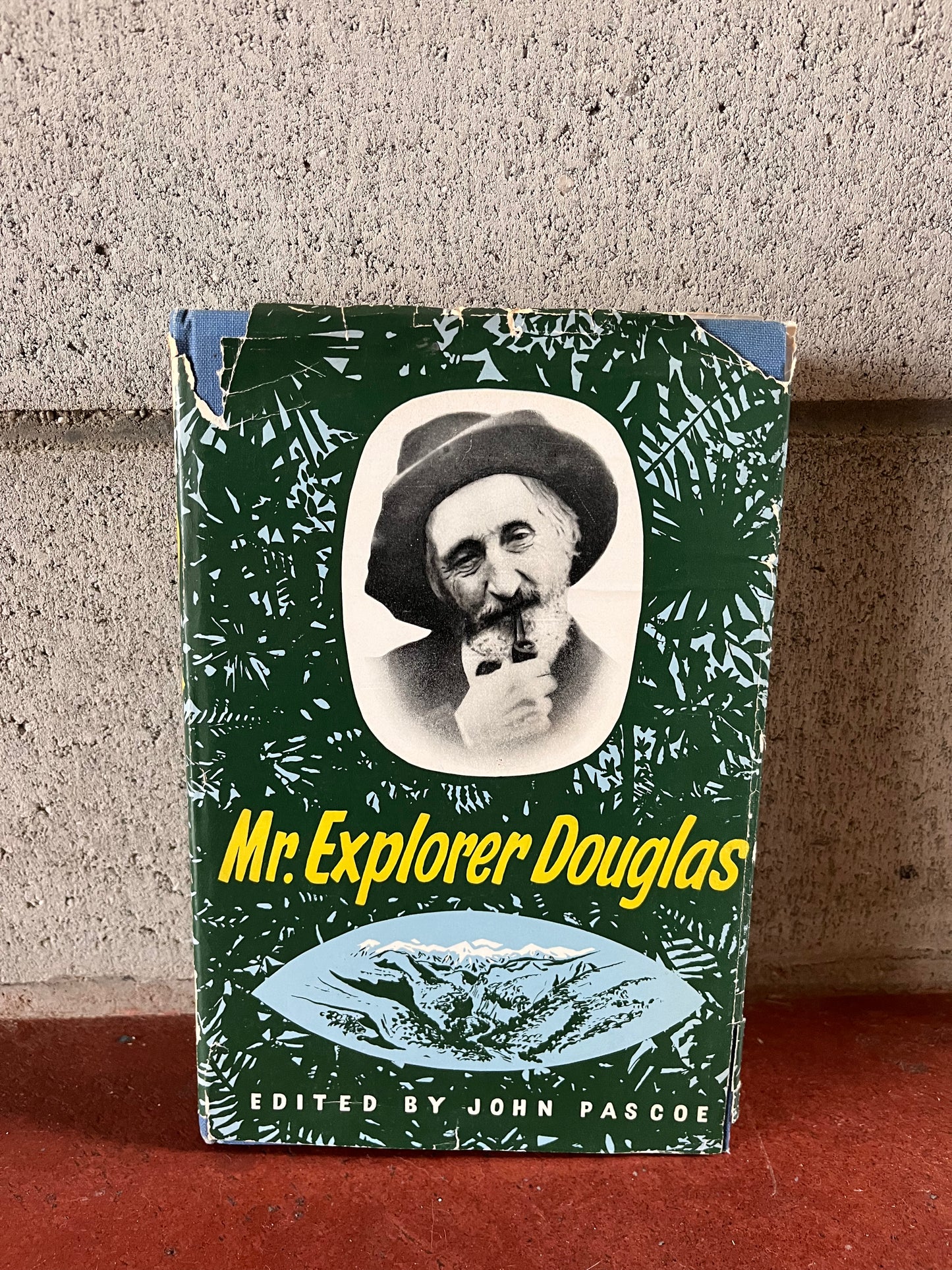 Mr. Explorer Douglas