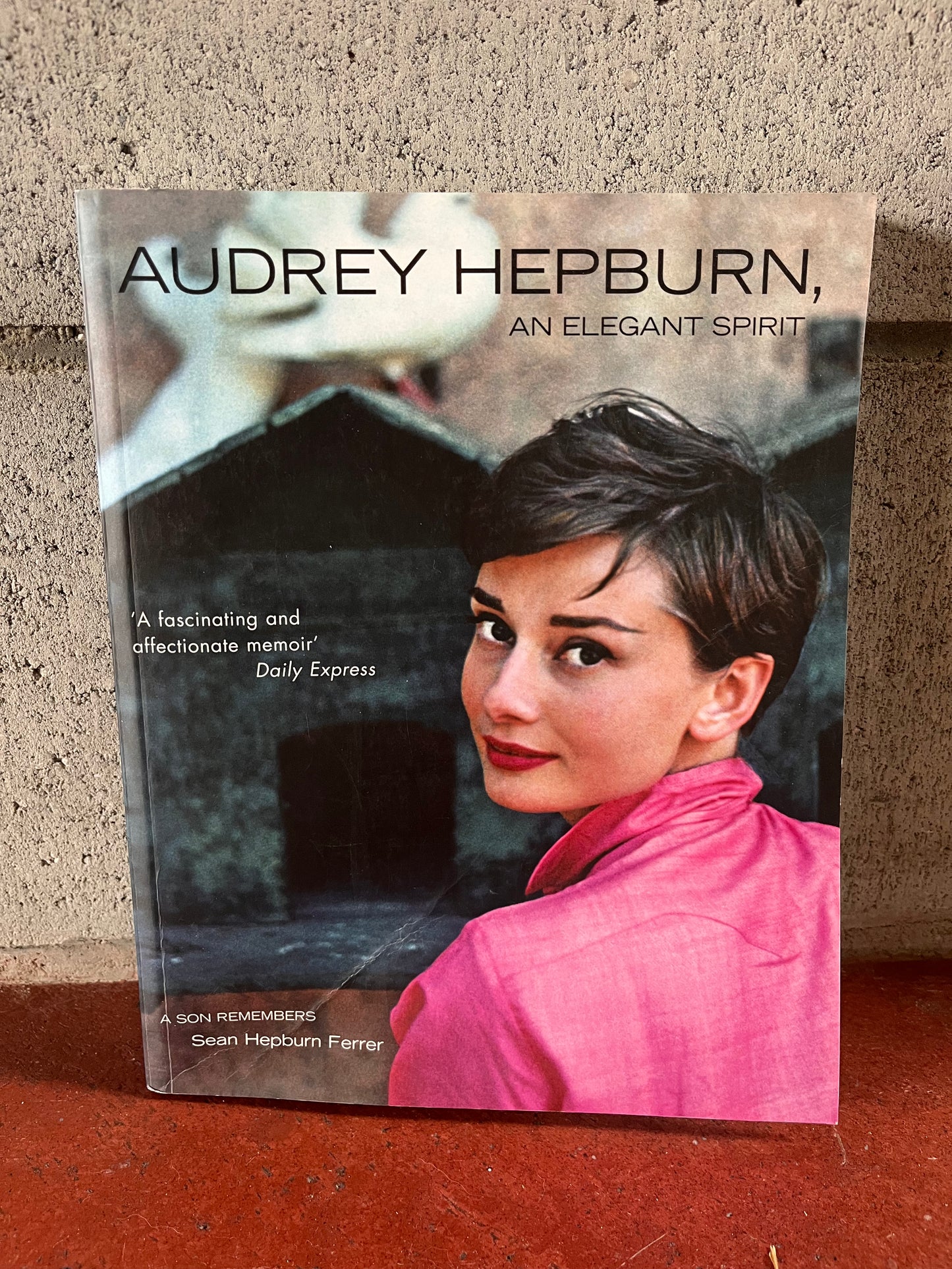Audrey Hepburn - An Elegant Spirit
