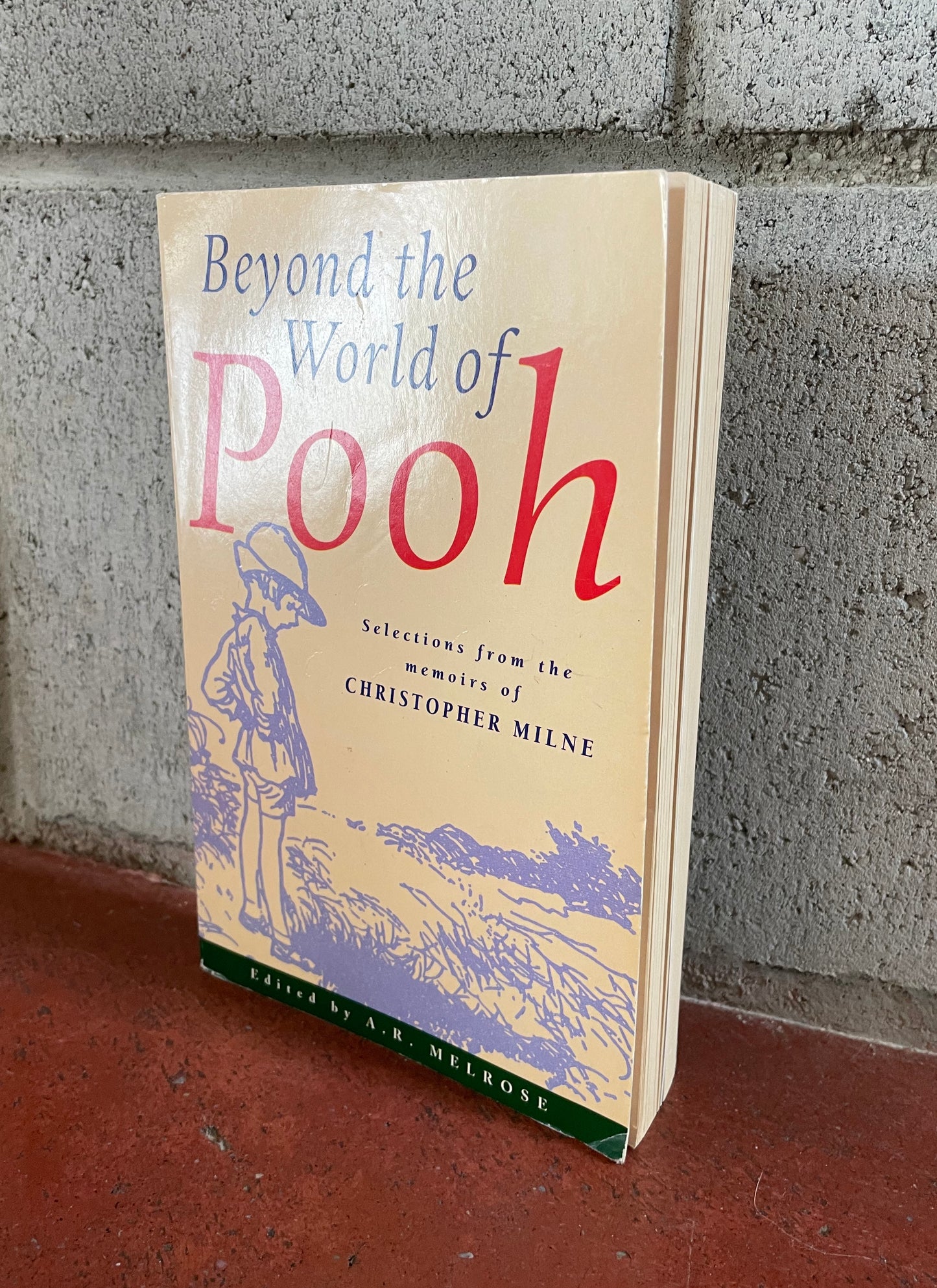 Beyond the World of Pooh