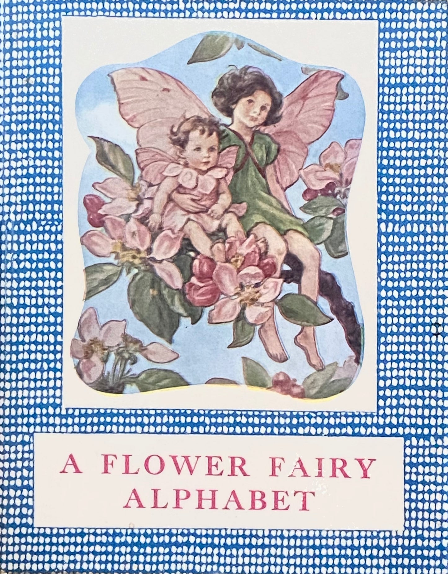 A Flower Fairy Alphabet