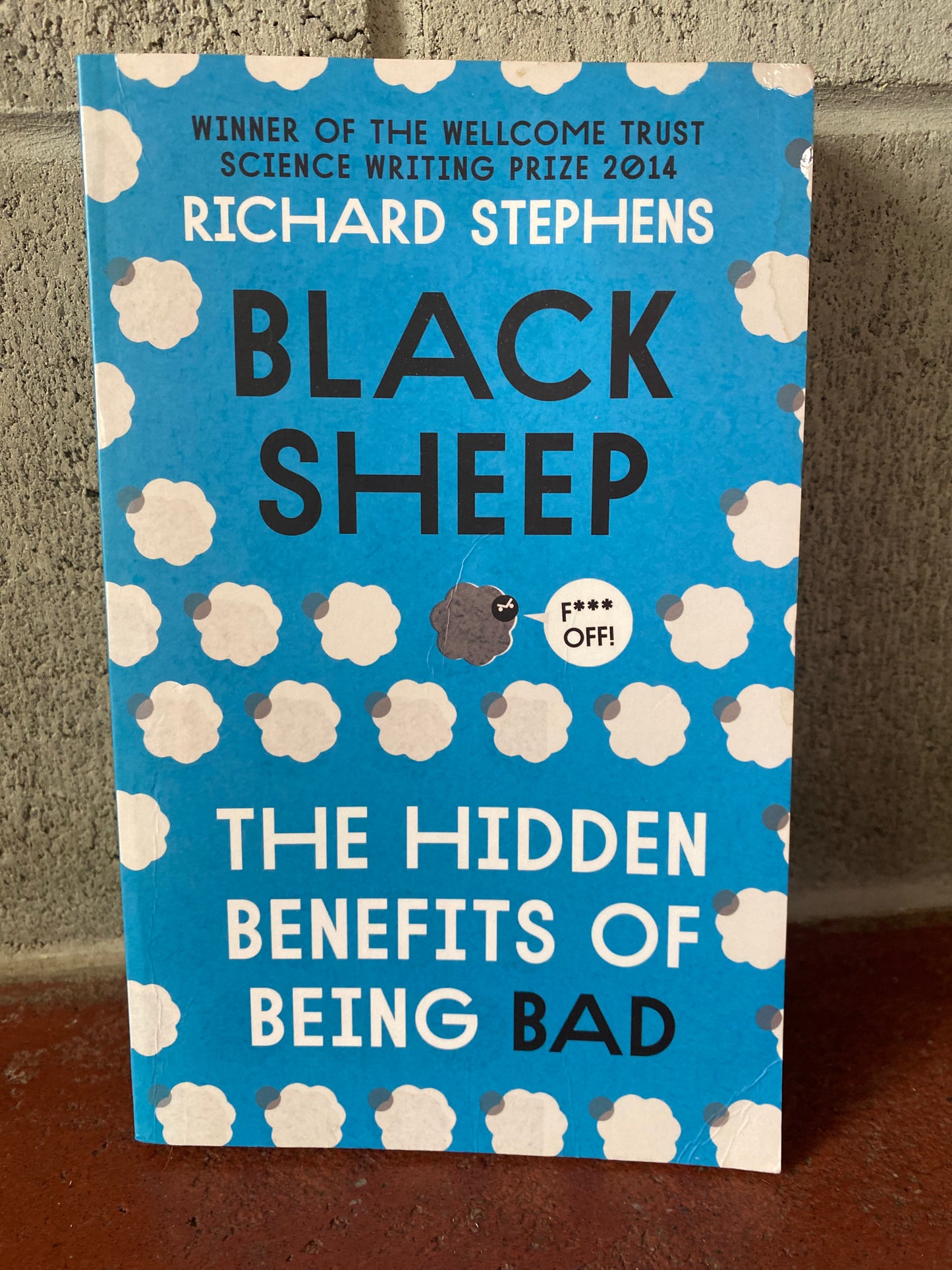 Black Sheep: The Hidden Benefits of Being Bad
