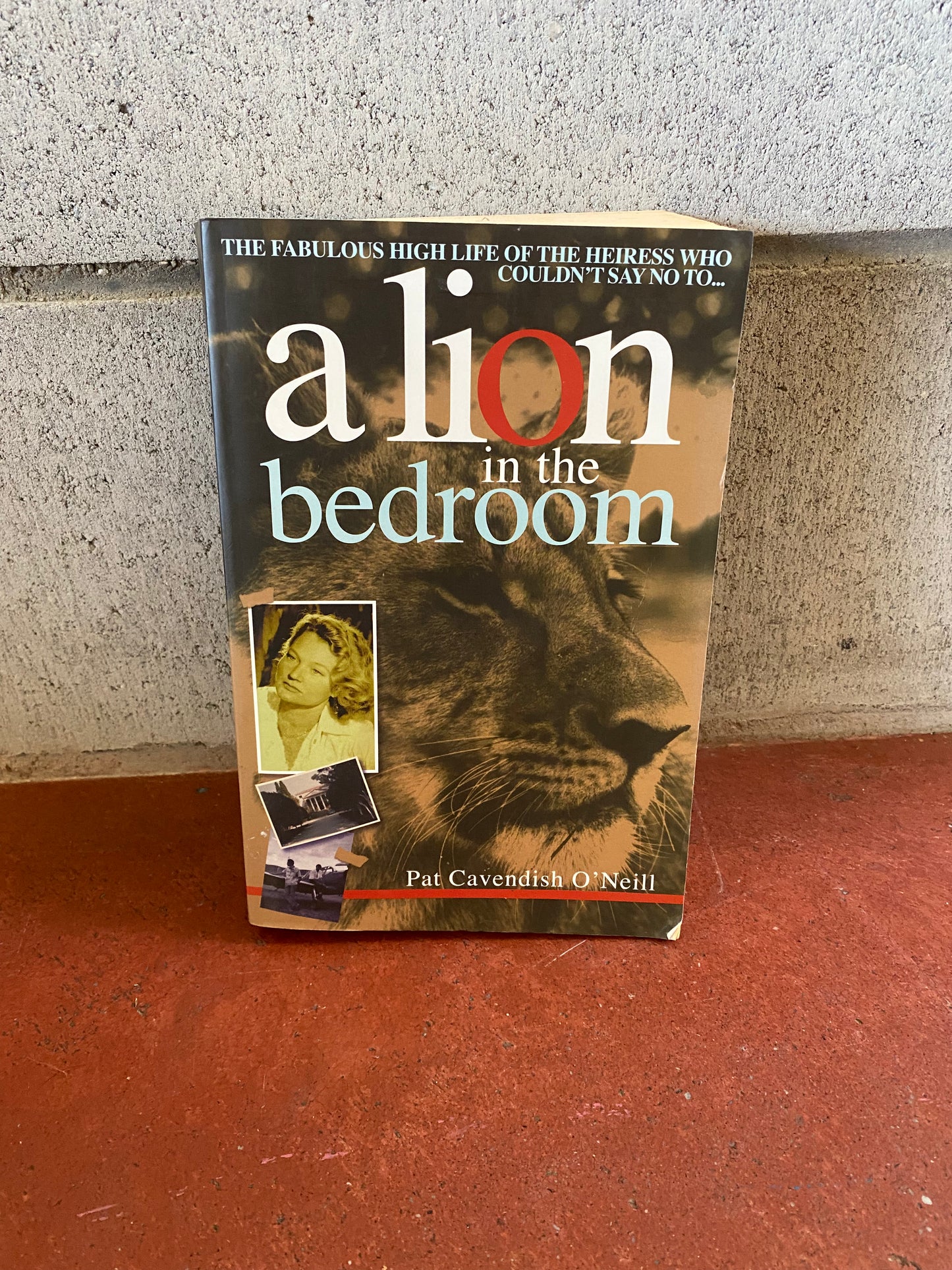 A Lion in the Bedroom
